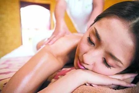 印尼巴士模拟器国产车辆模组 