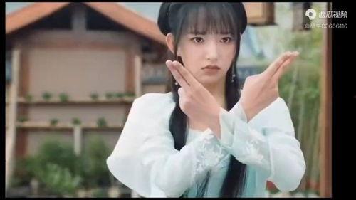 印尼巴士模拟器国产车辆模组 