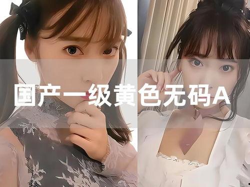 印尼巴士模拟器国产车辆模组 