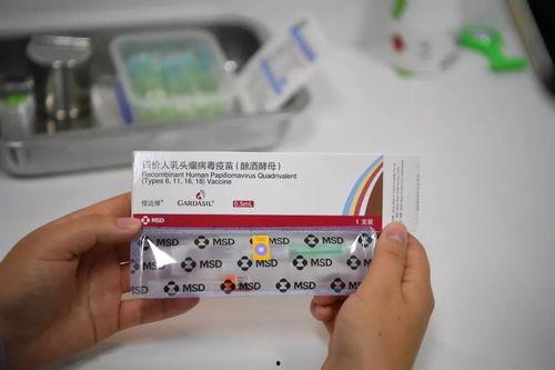 印尼巴士模拟器国产车辆模组 