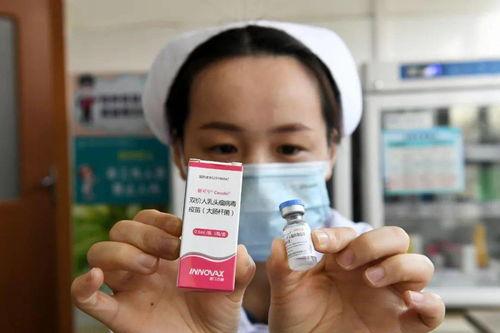 印尼巴士模拟器国产车辆模组 