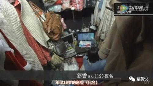 印尼巴士模拟器国产车辆模组 