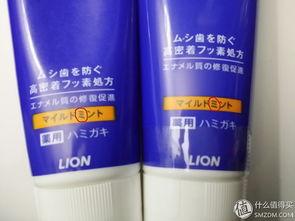 印尼巴士模拟器国产车辆模组 