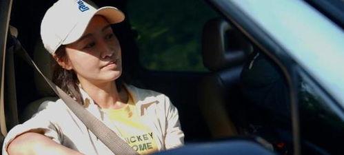 印尼巴士模拟器国产车辆模组 