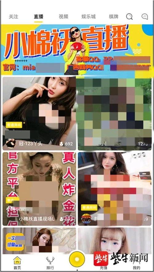 印尼巴士模拟器国产车辆模组 