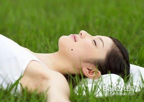 印尼巴士模拟器国产车辆模组 